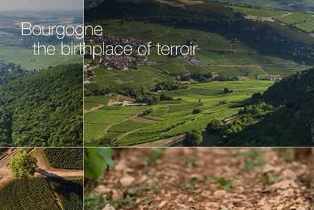 “Bourgogne, the birthplace of terroir”
